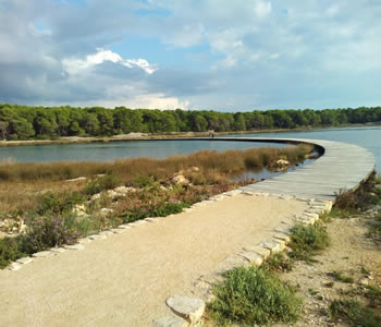 walking trail in st.anthony's channel